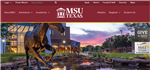 msu 