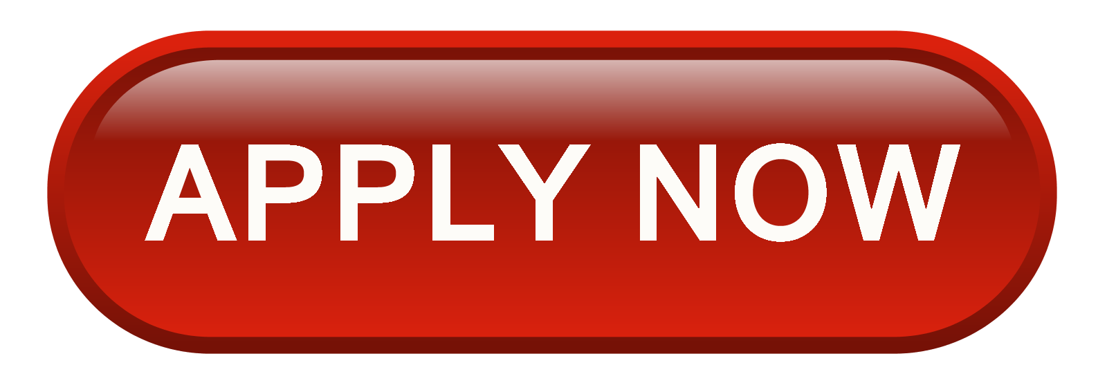 apply now button apply now button