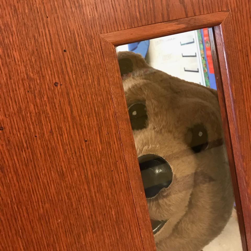 Billy the Bear Billy the Bear