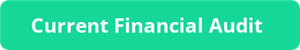 financial audit button