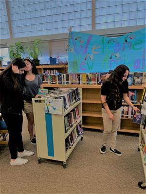 Browsing for Books before Covid-19 shutdown 
